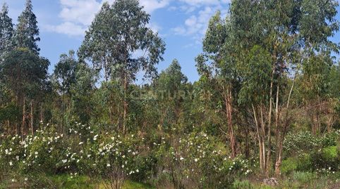 Foto 3 de Terreno en venta en Polígono 3 Parcela 2 la Garapetosa. Herrera de Alc, -1, Herrera de Alcántara, Cáceres