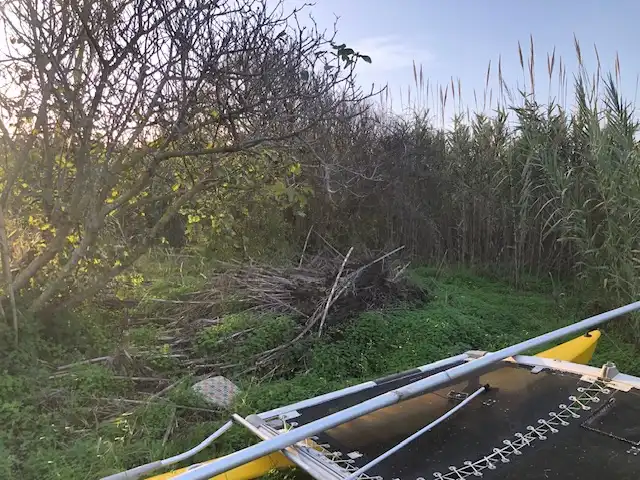 Casa o chalet en venta en Grau de Gandia - Venecia - Marenys de Rafalcaid