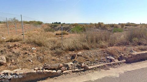 FINCA DE REGADÍO CON POSIBILIDAD DE VIVIENDA, imatge 3