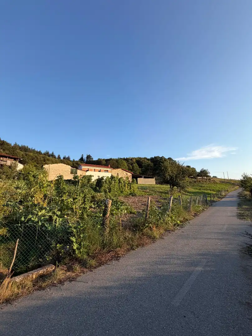 Rural land for sale in Tineo, imagen 24