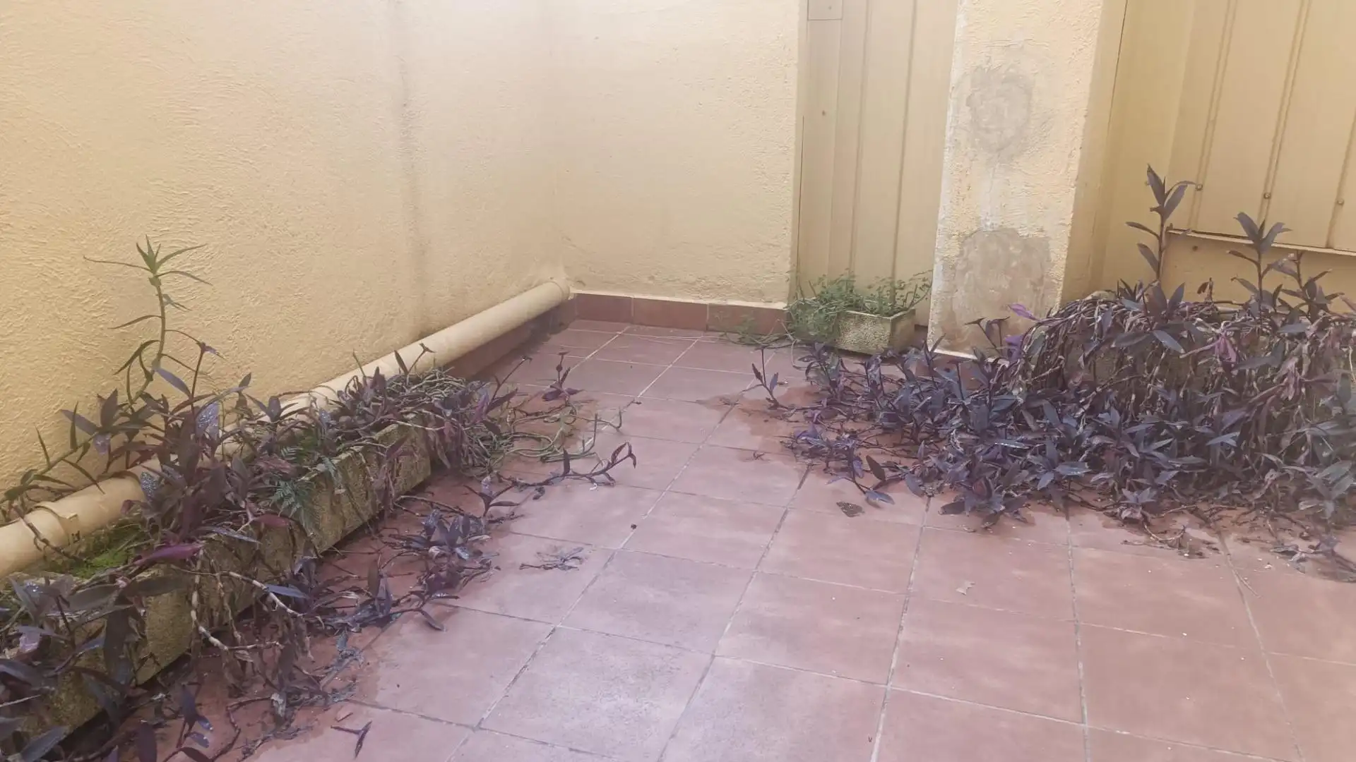 Garten von Wohnung zum Verkauf in Terrassa mit Terrasse und Balkon