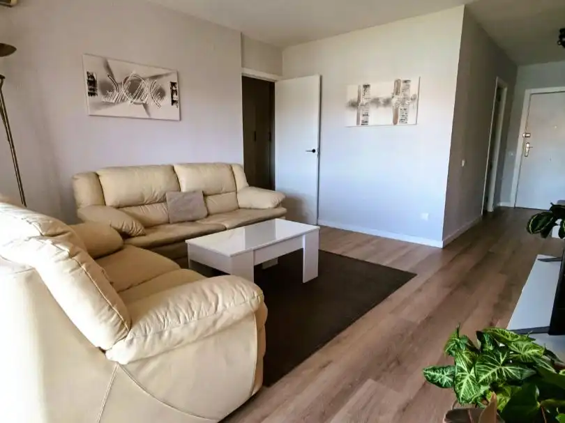 Living room of Flat for share in Norte