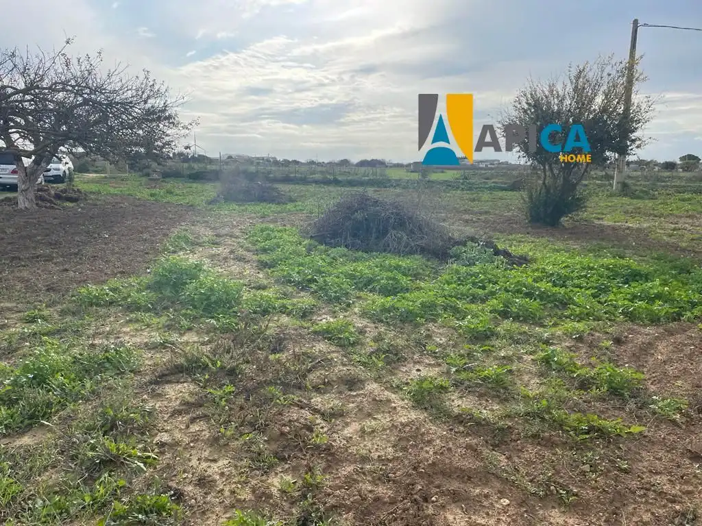 Casa o chalet en venta en Los Franceses – La Vega