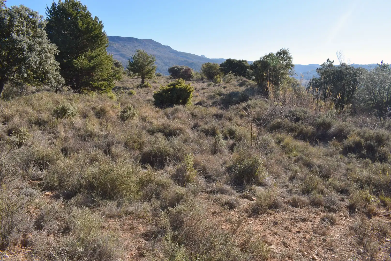 Residencial en venta en Nueno