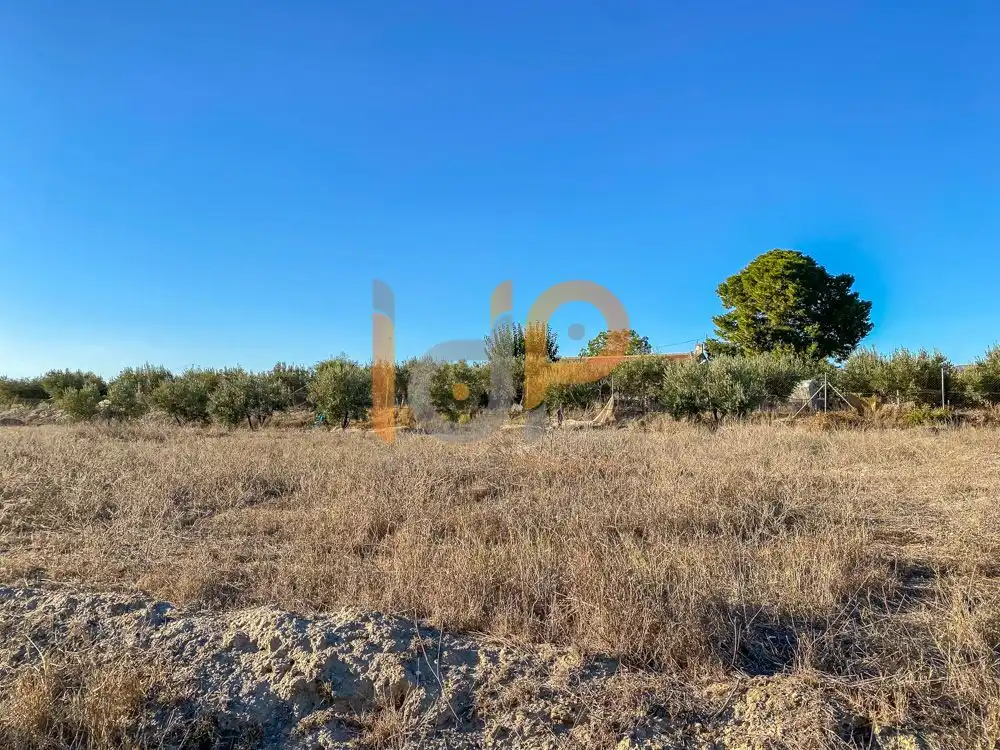 Terrain rustique à vendre à Huércal-Overa, imagen 3
