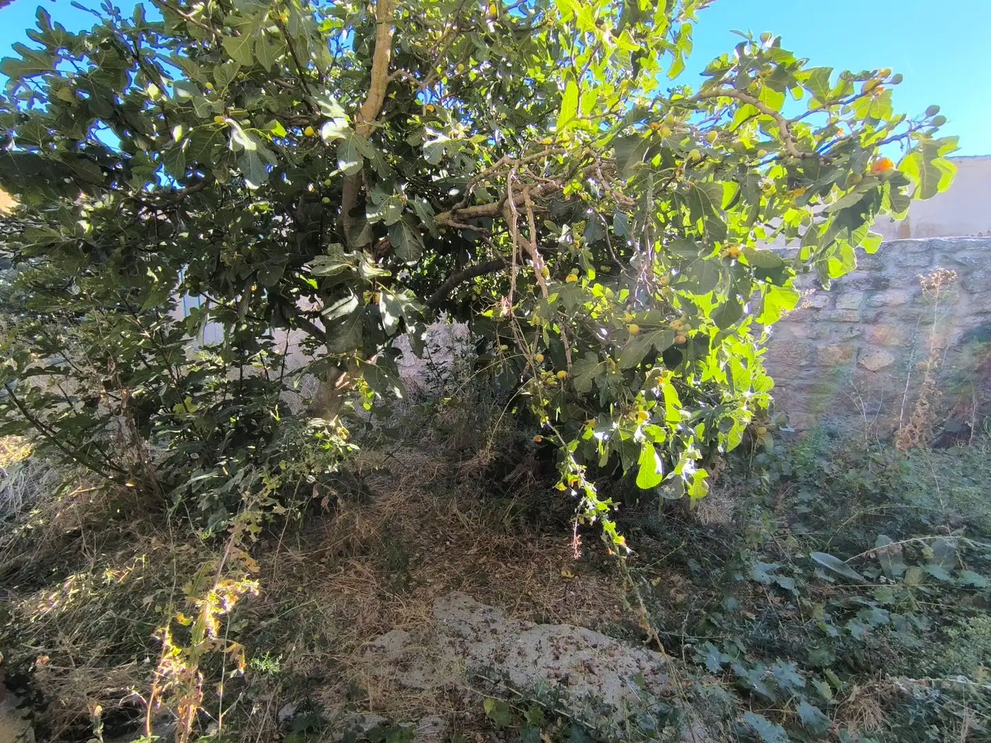 Haus mit Garten zum Verkauf in Calle Abilio Calderón 3, imagen 42