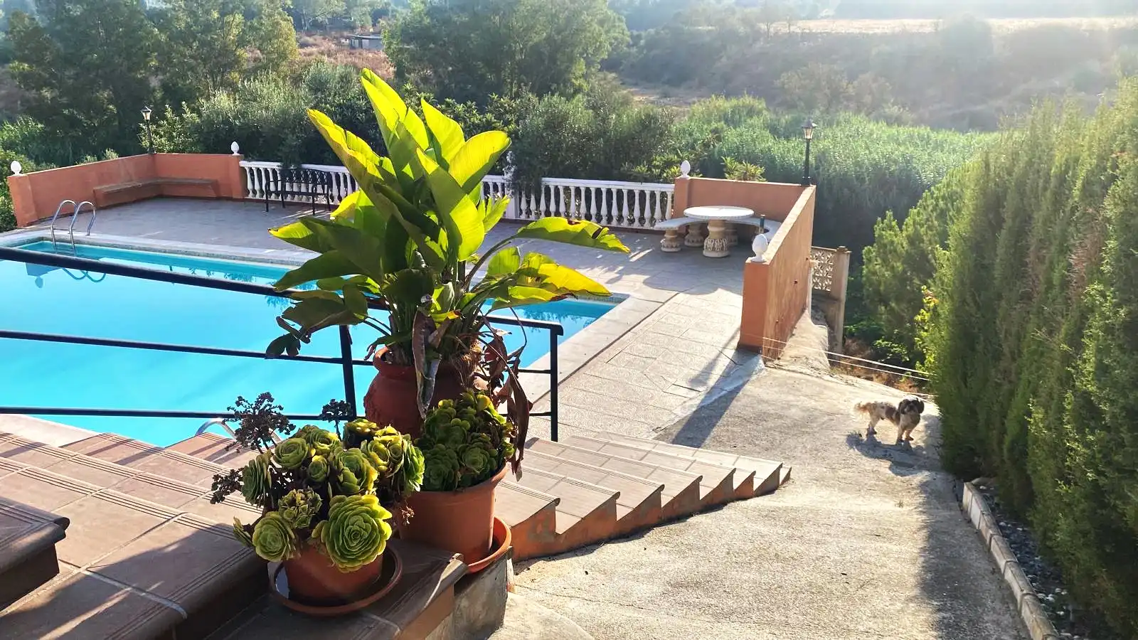 Terrassa de Finca rústica en venda en Cártama amb Calefacció, Jardí privat i Terrassa