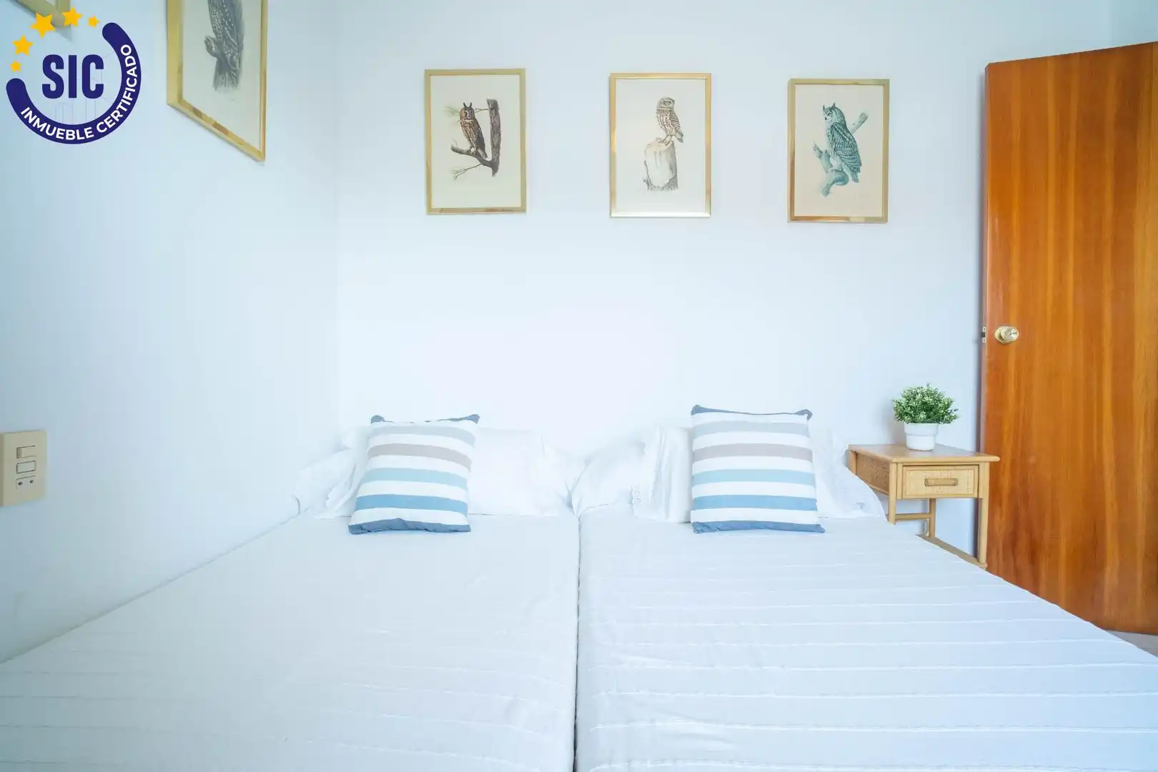 Adosado con terraza en venta en Calle E CALATAYUD 49, imagen 31