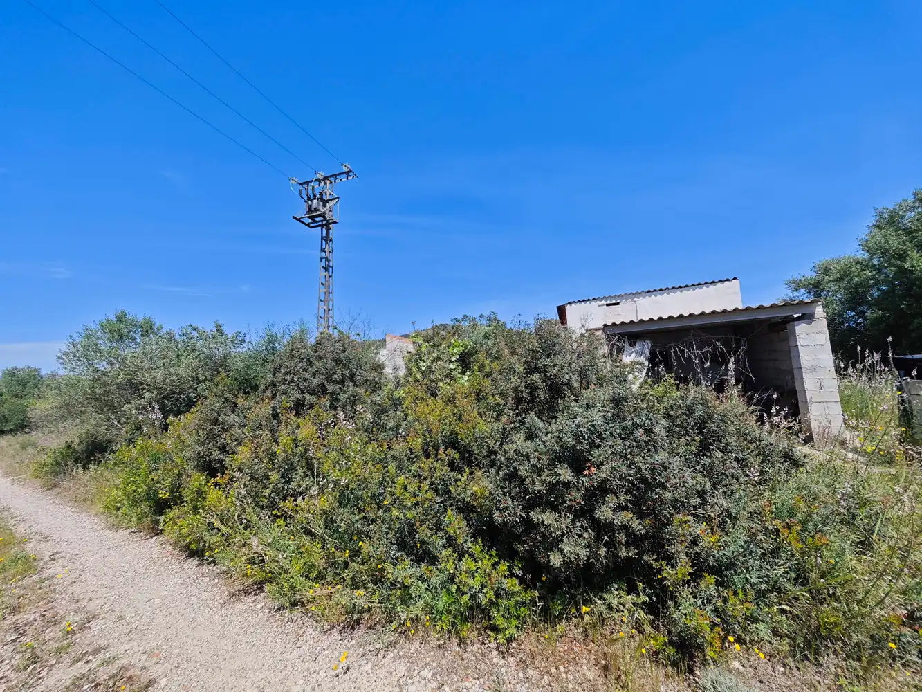 Industrial buildings for sale in Benigànim