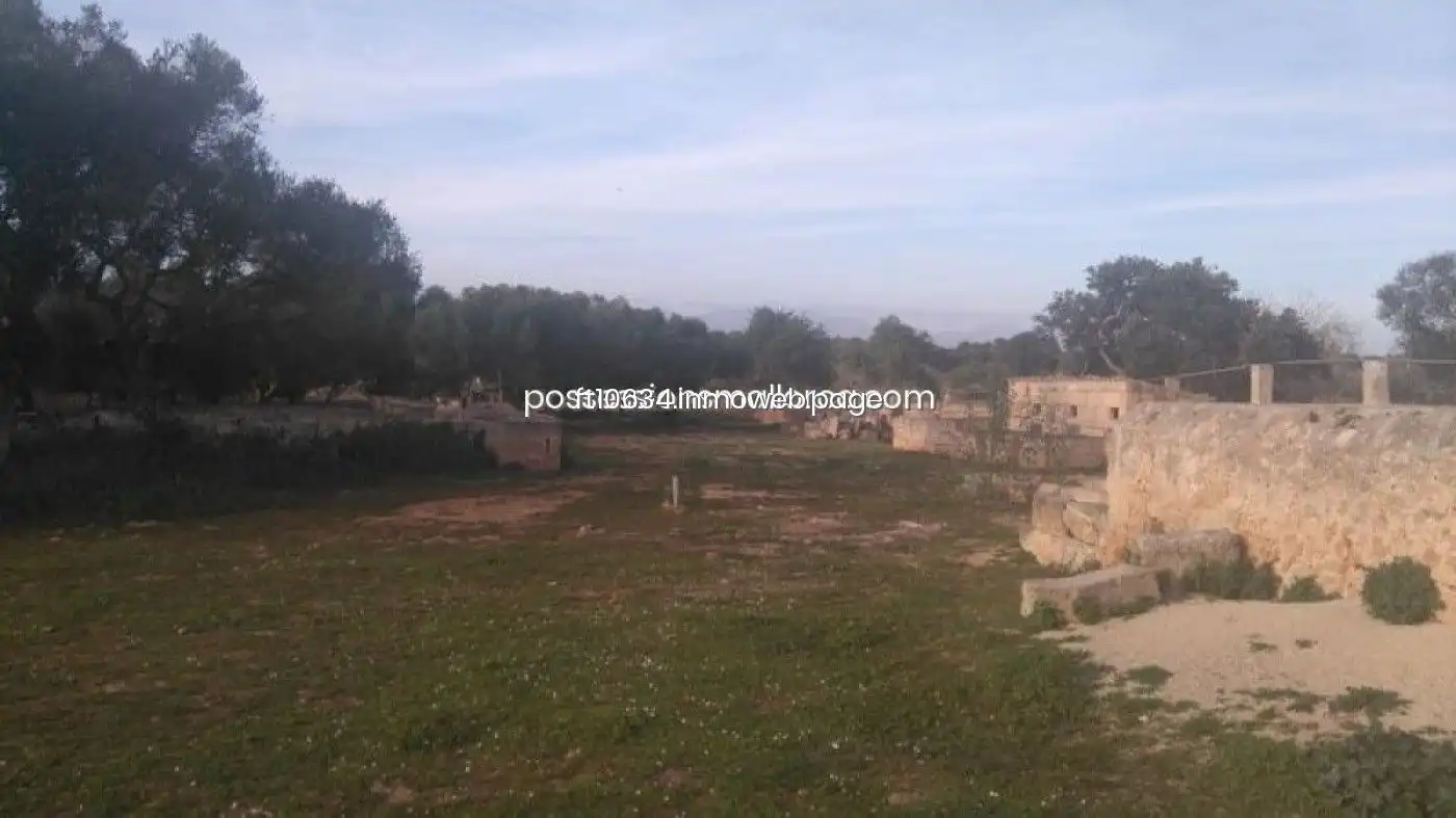 Terreno rustico in vendita a Algaida, imagen 41