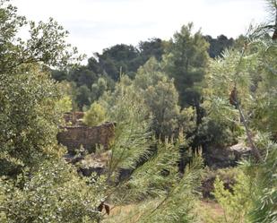 Finca rústica en venda en Fórnoles