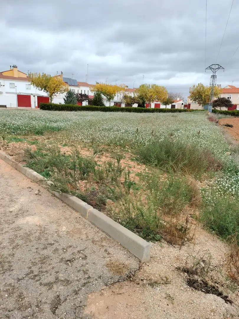 Terreni e lotti in vendita a Calle los Rosales, imagen 5