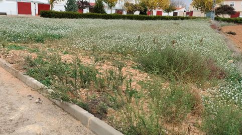 TERRENO URBANO EN CASAS DE BENITEZ, imatge 5