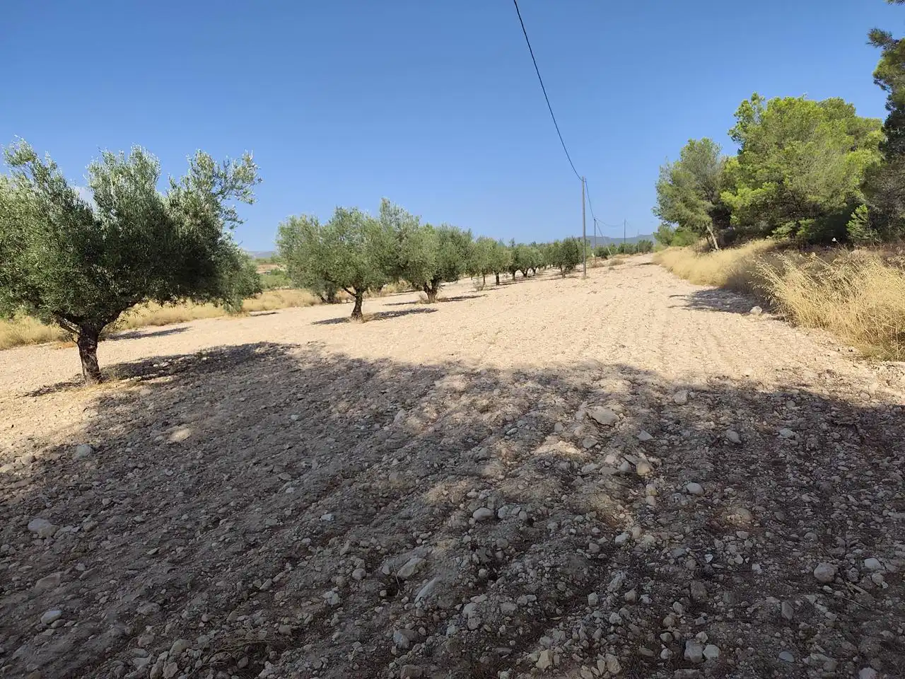 Terreno rustico in vendita a Castalla, imagen 31
