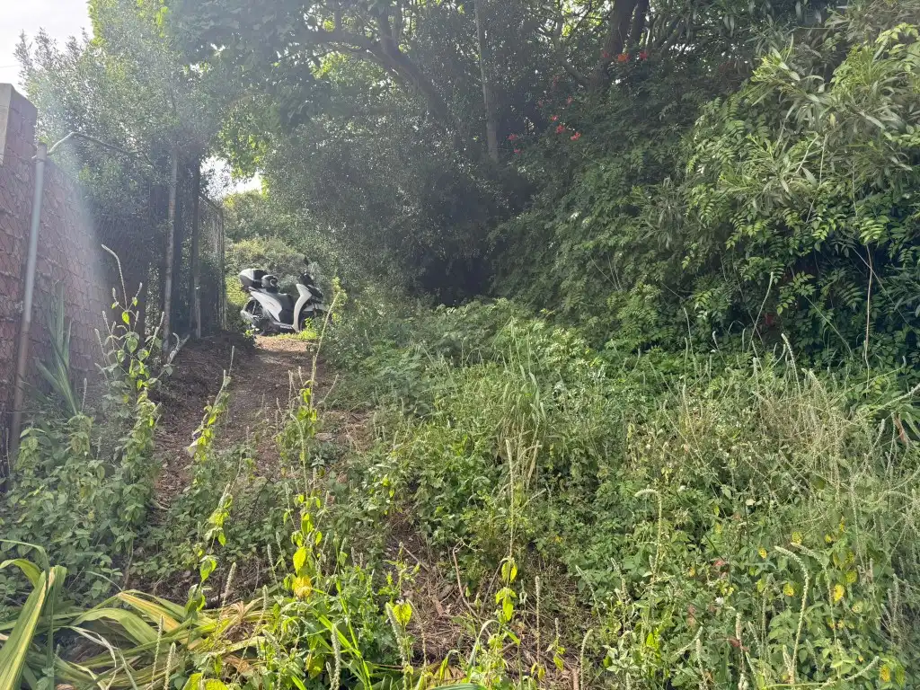 Terreno en venta en Algeciras