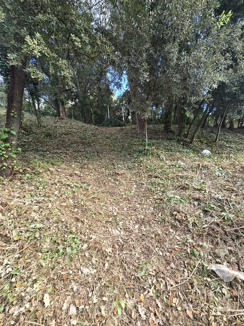 Terreno residencial en venta en Passeig d'Egara 2, imagen 5