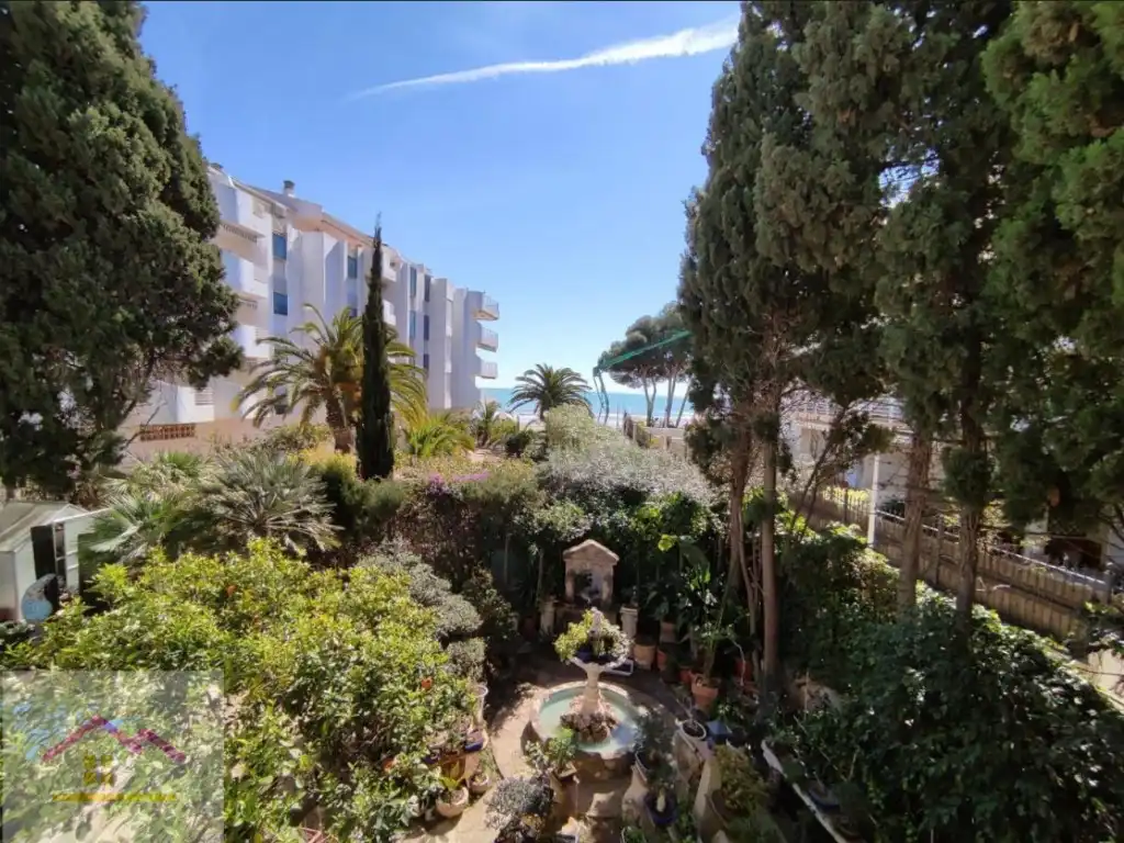 Garden of Study for rent in Alcalà de Xivert  with Air Conditioner, Furnished and Washing machine