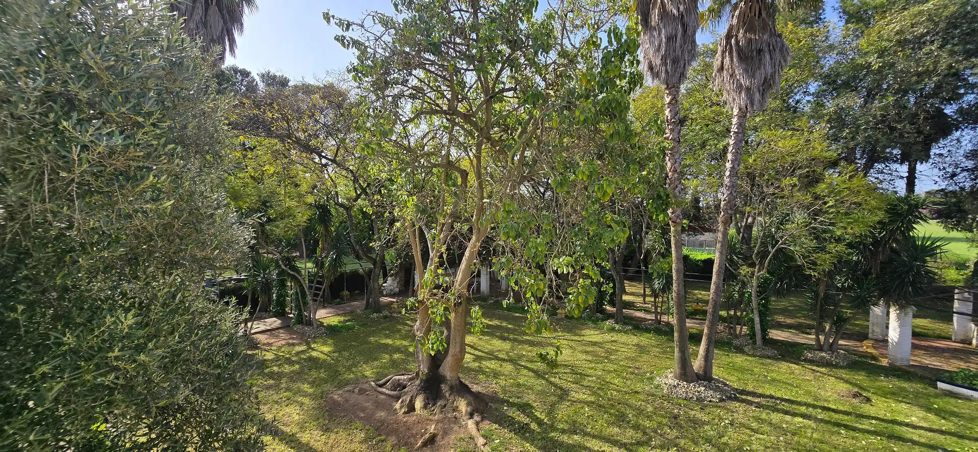 Houses for sale in Jerez de la Frontera  with Air Conditioner, Private garden and Terrace