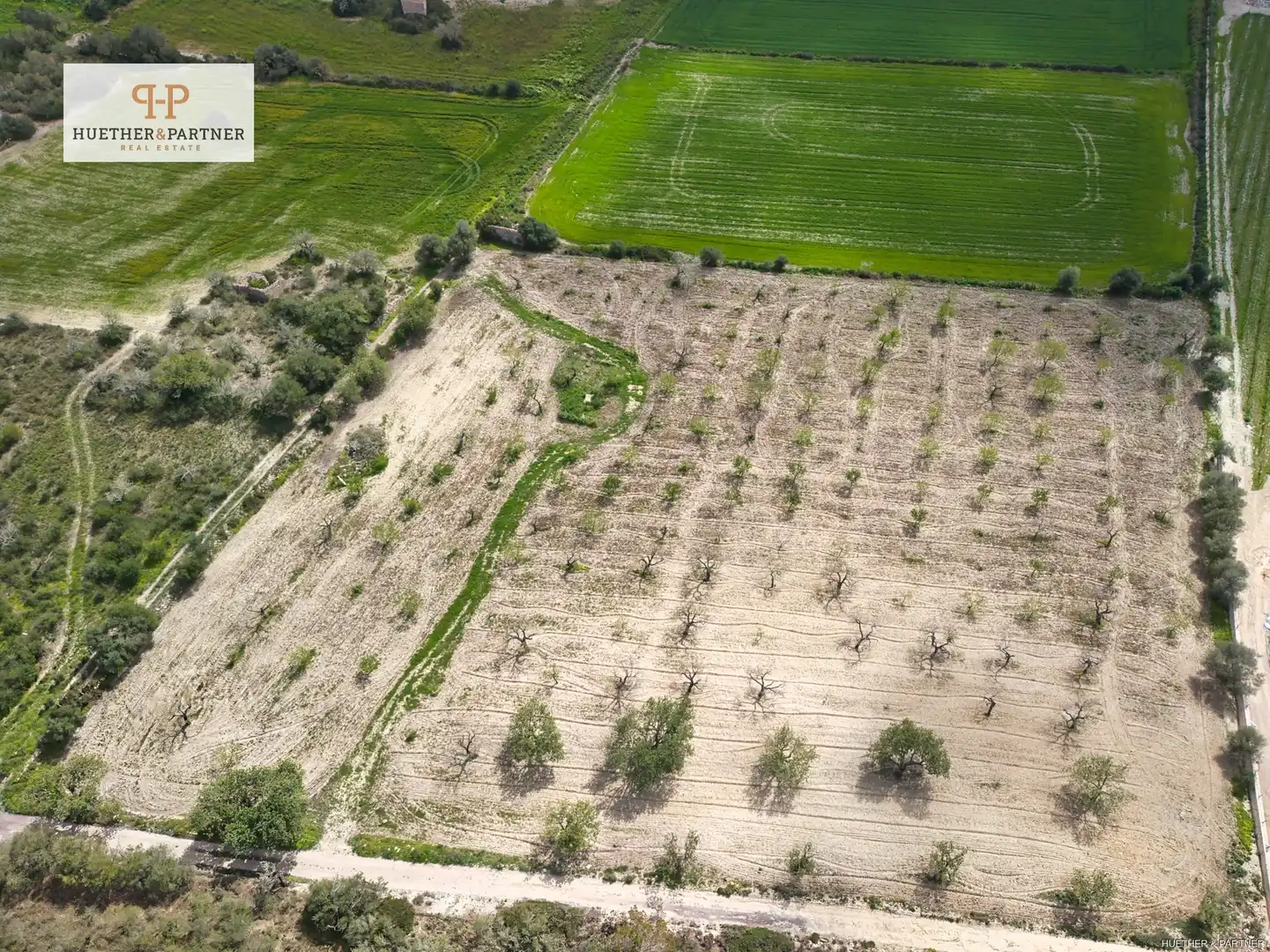 Terreno residenziale in vendita a Montuïri, imagen 3