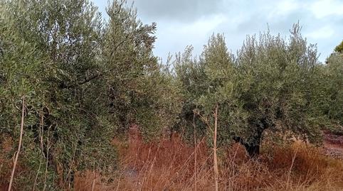 Photo 2 of Country house for sale in Felix, Almería