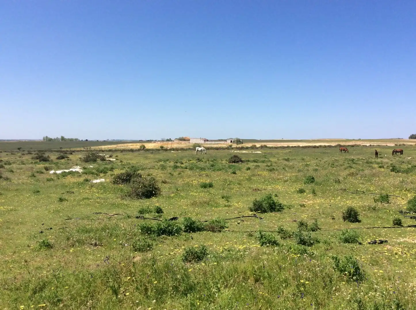 Land for sale in Almonte