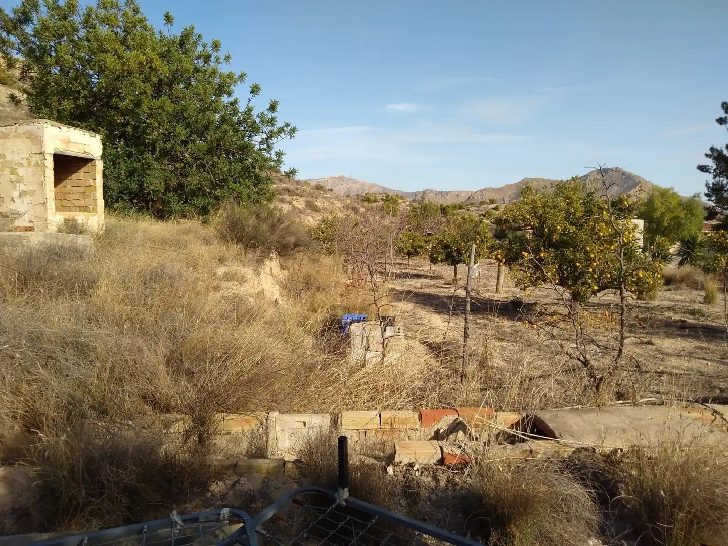 Terreny rústic en venda a Agost, imagen 13