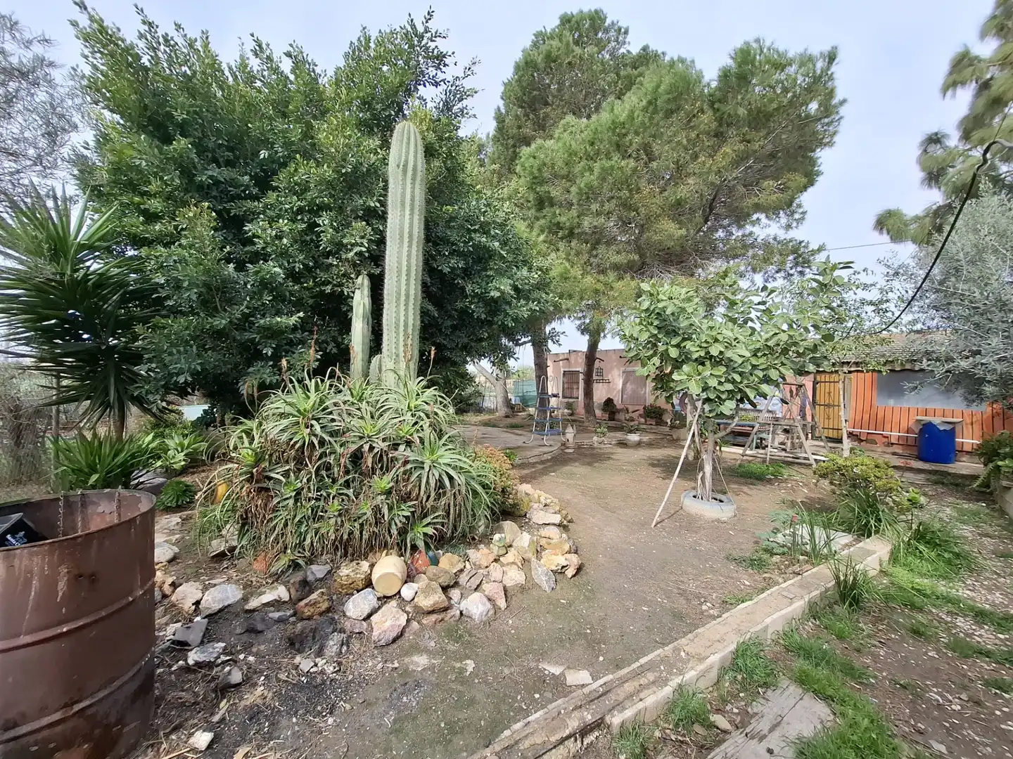 Finca rústica en venda a Partida Saavedra, El Edén