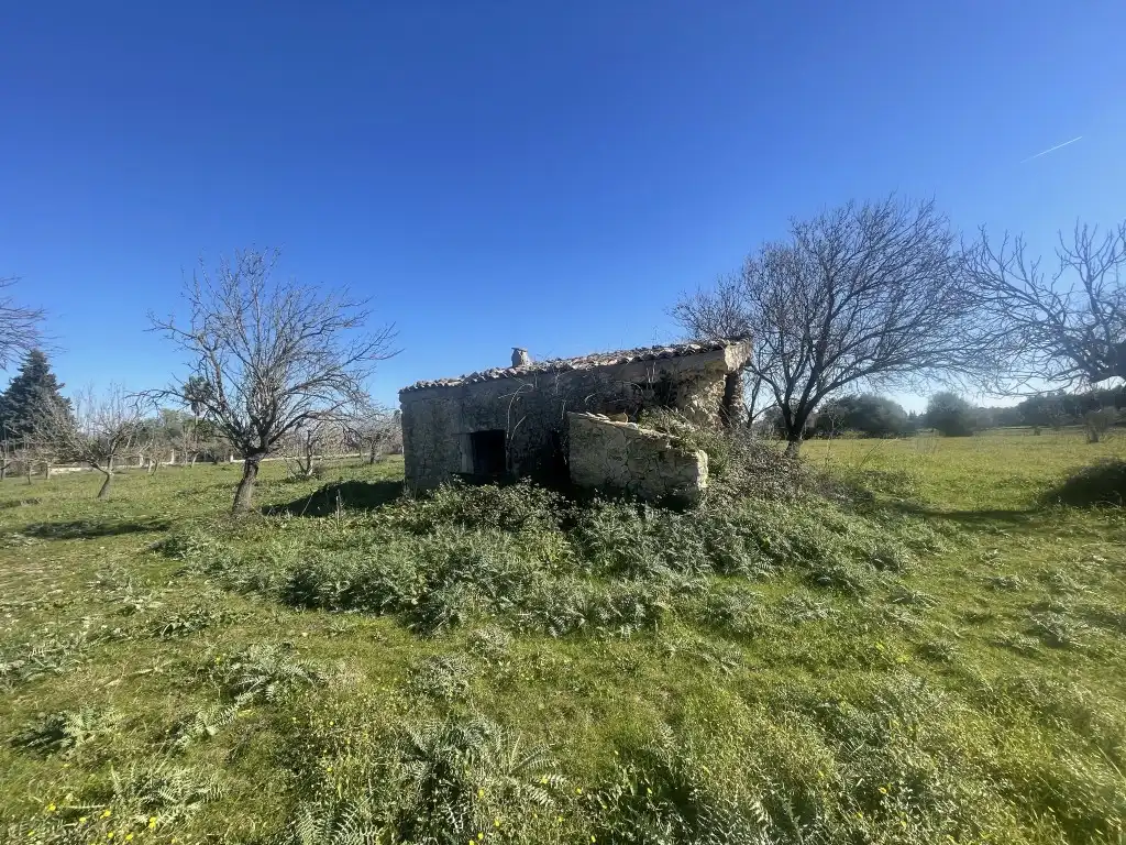 Terrain rustique à vendre à Selva, imagen 3