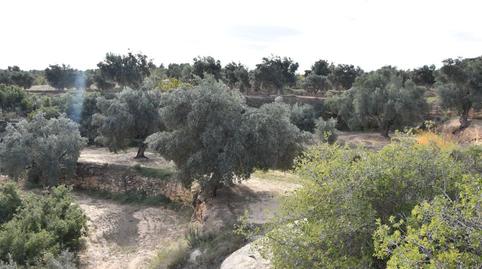 Photo 5 of Land for sale in Calle Mayor, 14, Calaceite, Teruel