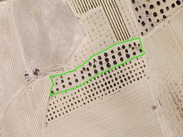 Terreni e lotti in vendita a Jumilla
