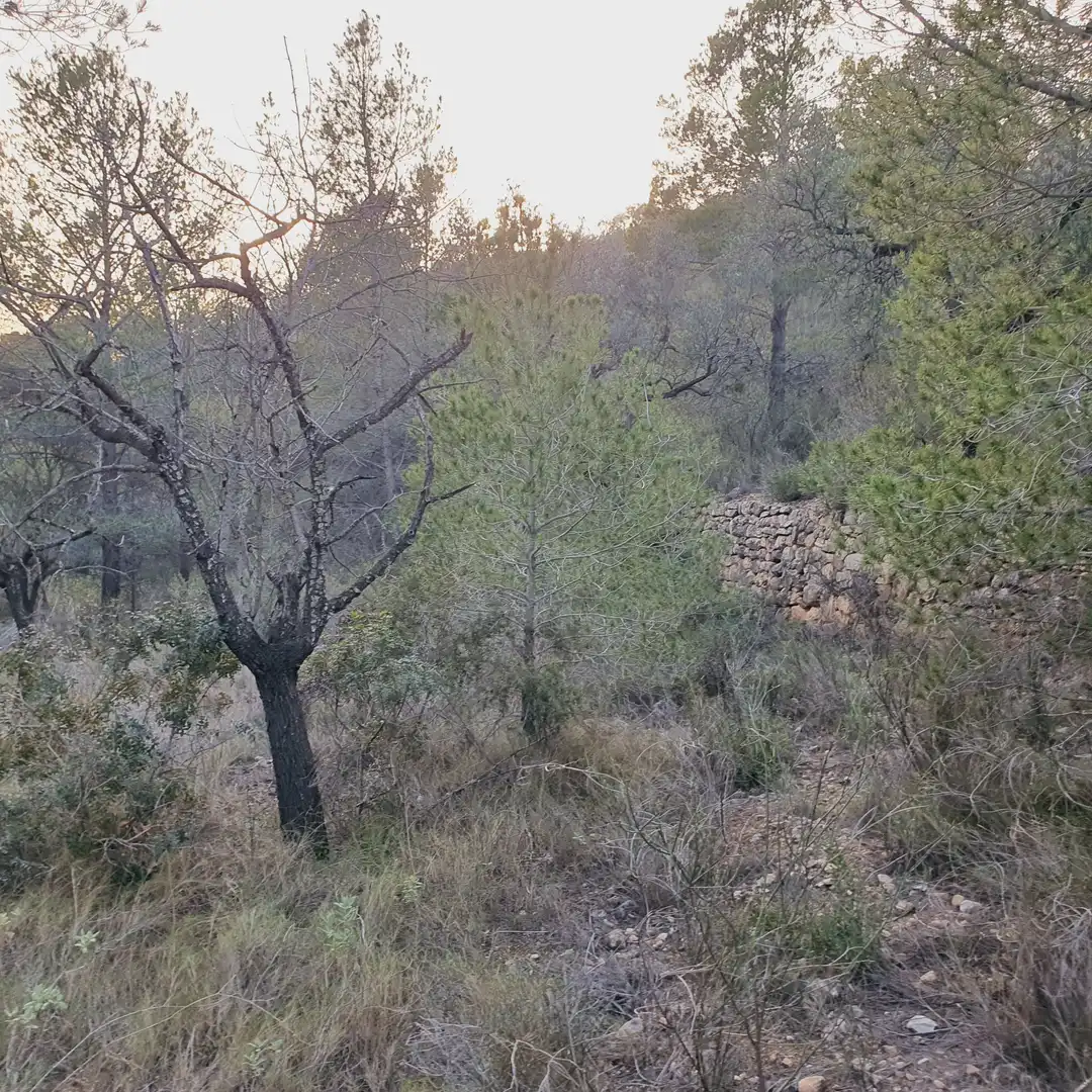 Rustikales Grundstück zum Verkauf in El Pinell de Brai, imagen 16