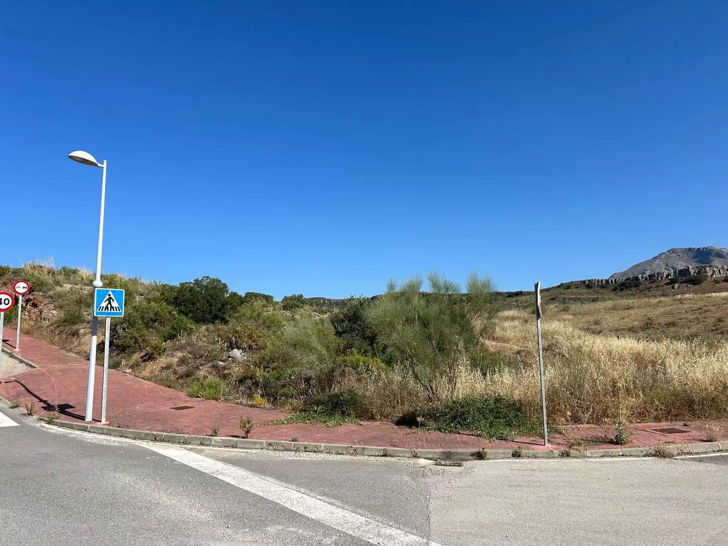 Lands and plots for sale in Centro, imagen 8