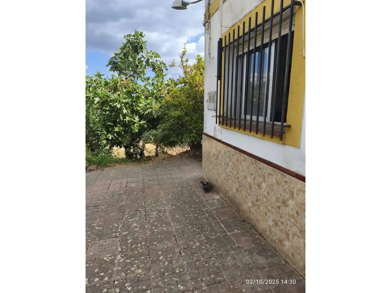 Land for sale in Calle Manuel León, Cortegana