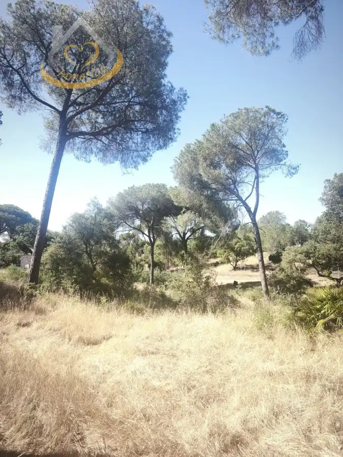 Terreni e lotti in vendita a Moguer, imagen 7