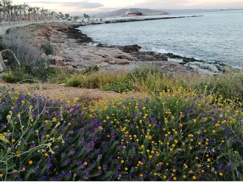 Jardí de Àtic en venda en Garrucha amb Jardí privat, Traster i Piscina