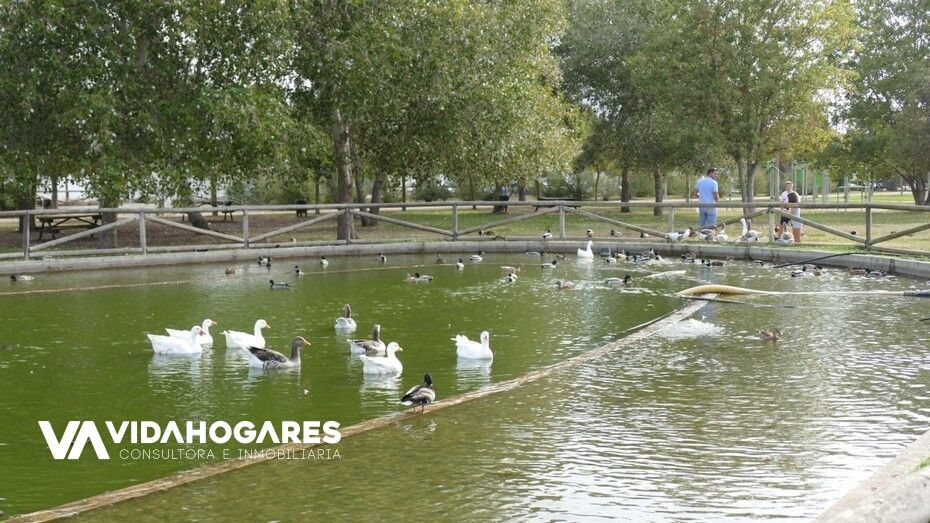 Exterior view of Garage for sale in Rota