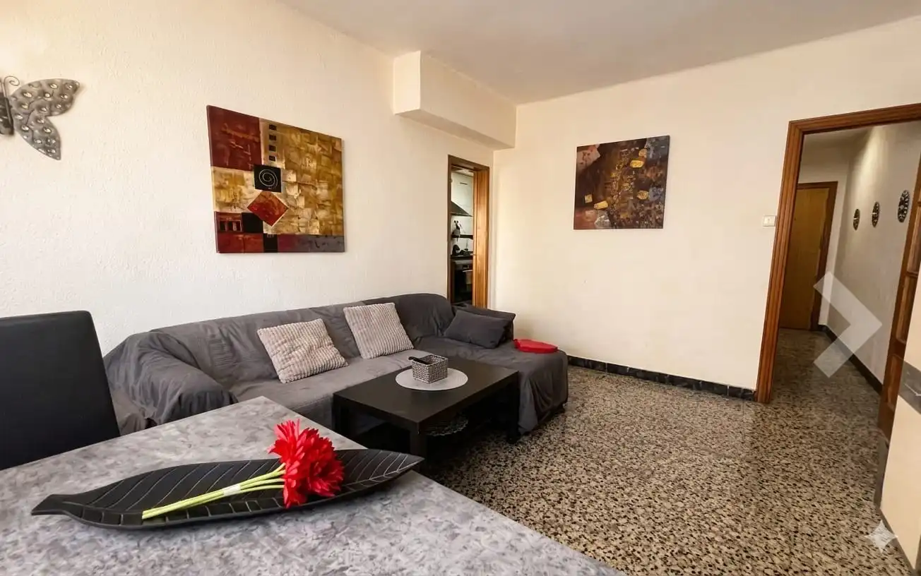 Living room of Flat for sale in Sant Joan Despí  with Furnished, Oven and Washing machine
