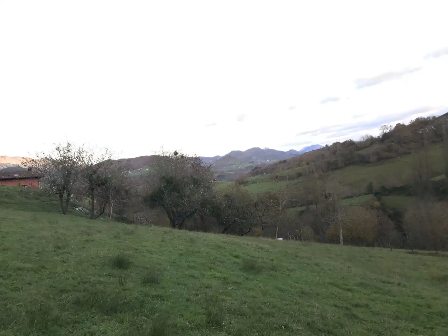 Terreni e lotti in vendita a Cangas de Onís, imagen 9