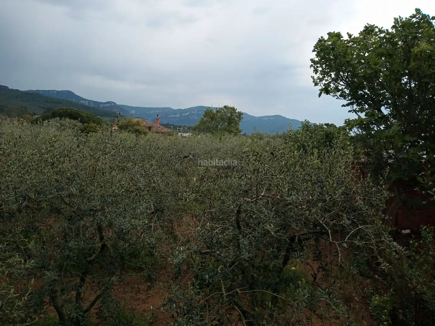 Terreno residencial en venta en Urbanitzacio Portugal 97C, imagen 8