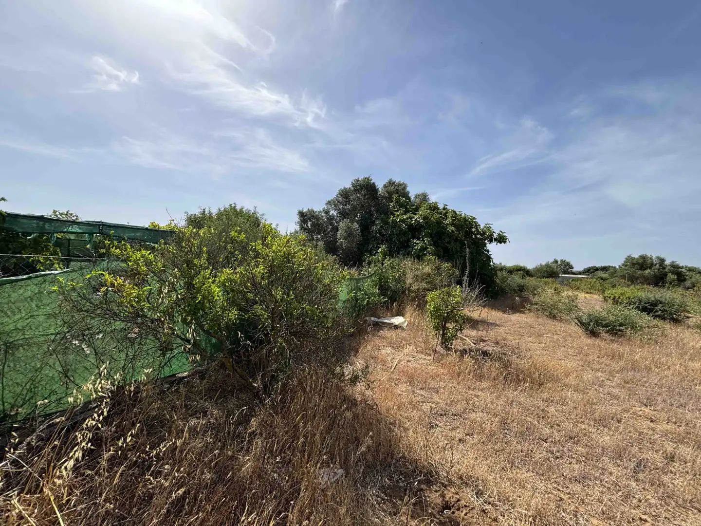 Terreny rústic en venda a Medina Sidonia, imagen 19
