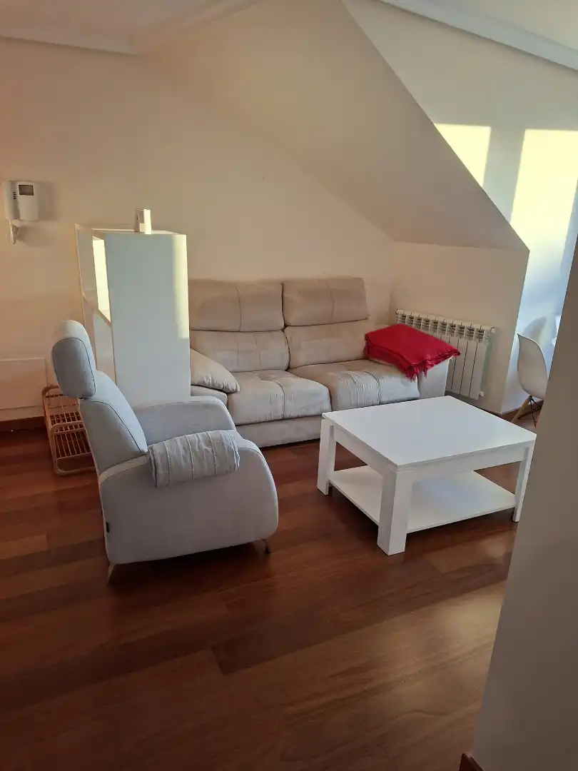 Living room of Attic for rent in Pontevedra Capital   with Heating, Parquet flooring and Terrace