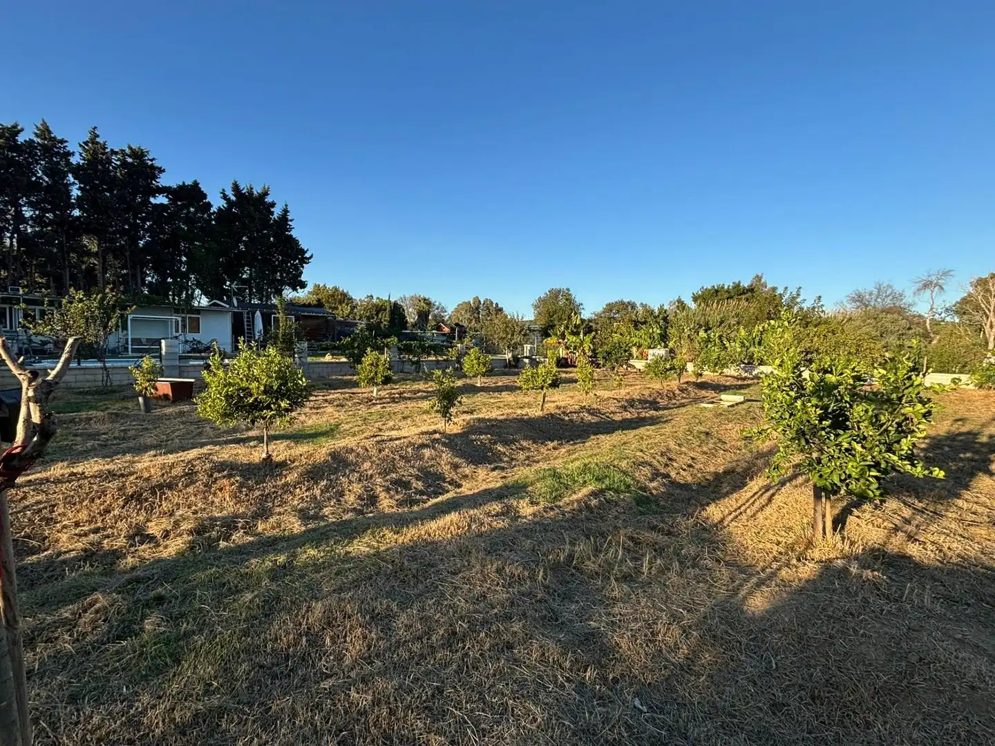 Rustikales Grundstück zum Verkauf in Los Barrios, imagen 2