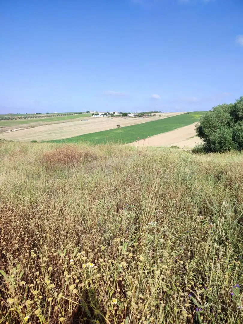 Terreno residencial en venta en Arcos de la Frontera, imagen 16