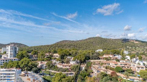 Photo 2 of Apartment to rent in Palmanova, Illes Balears