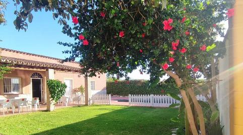 Photo 3 of House or chalet to rent in Carretera de Sanlúcar - Sudamérica, Cádiz