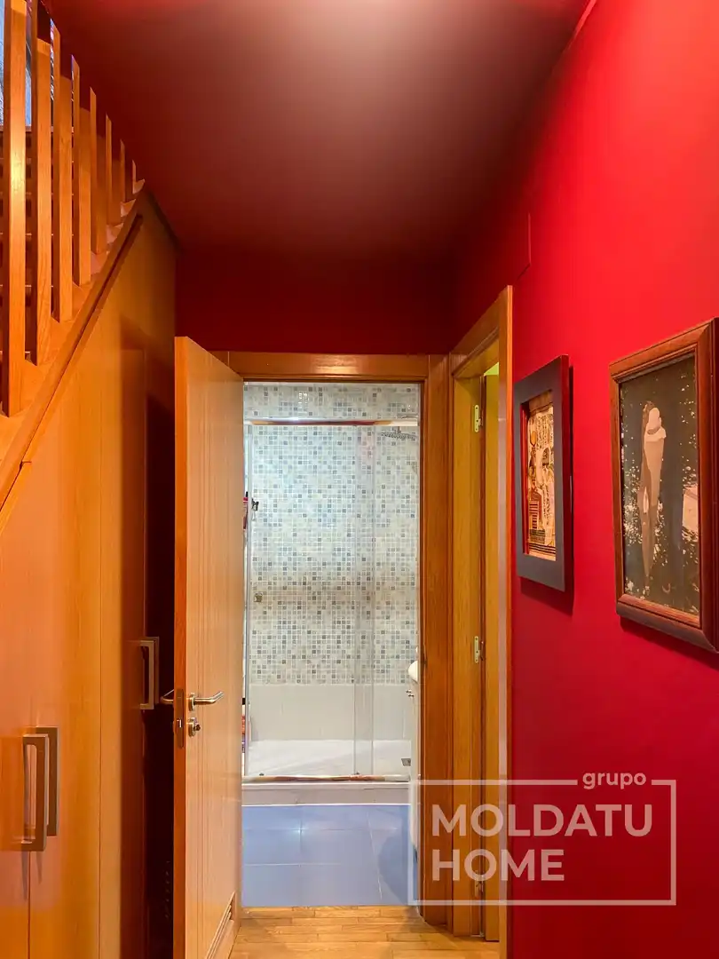 Duplex with lift for sale in Buztintxuri, imagen 53