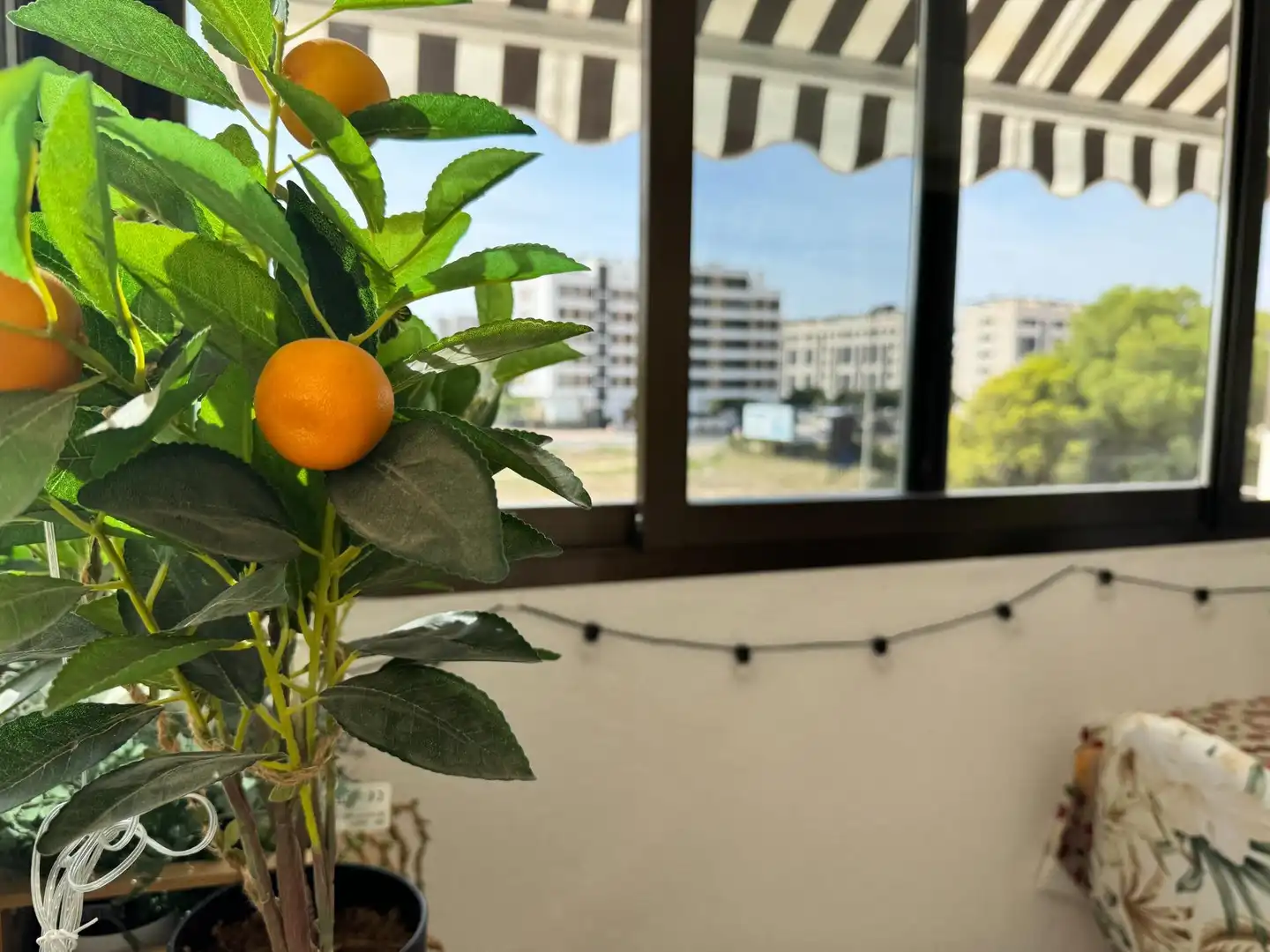Wohnung mit Pool zum Verkauf in Plans - Gasparot, imagen 2
