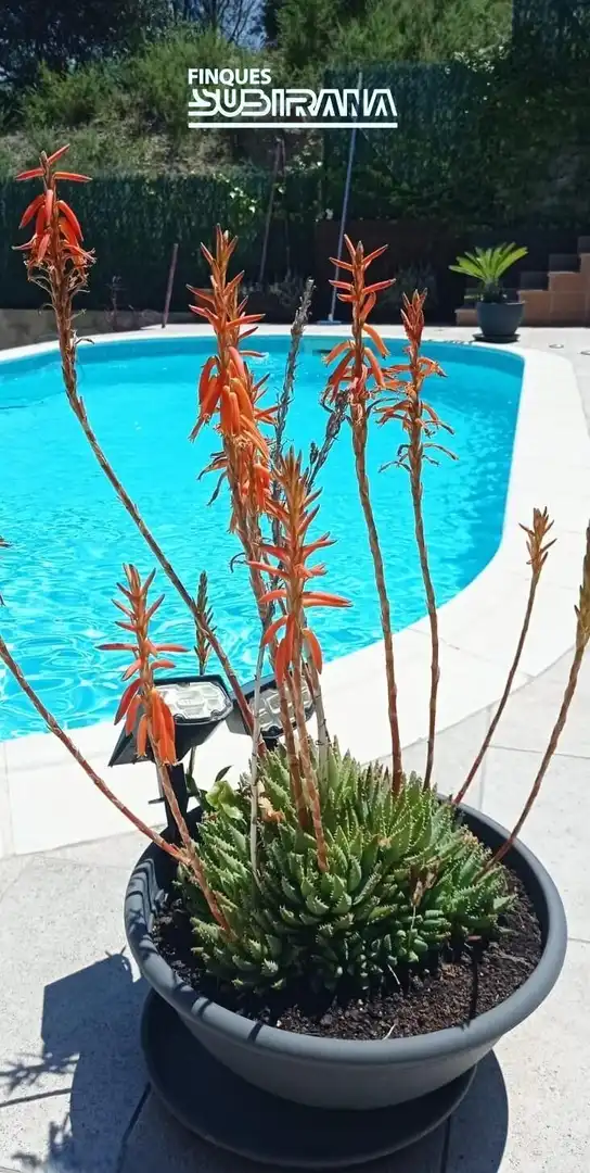 Maison avec piscine à vendre à Masquefa, imagen 9