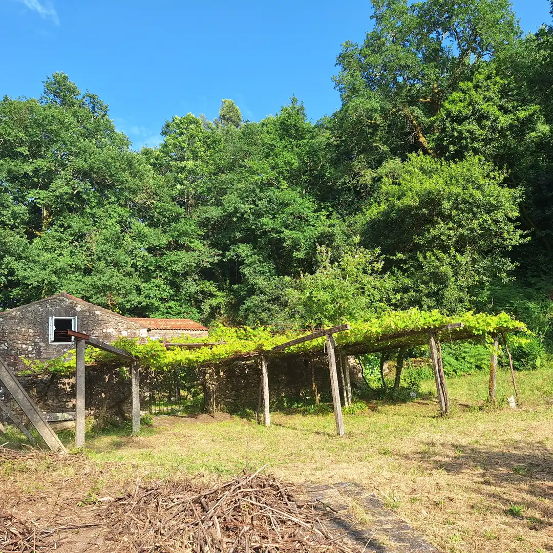 Jardín de Casa o chalet en venta en Barro