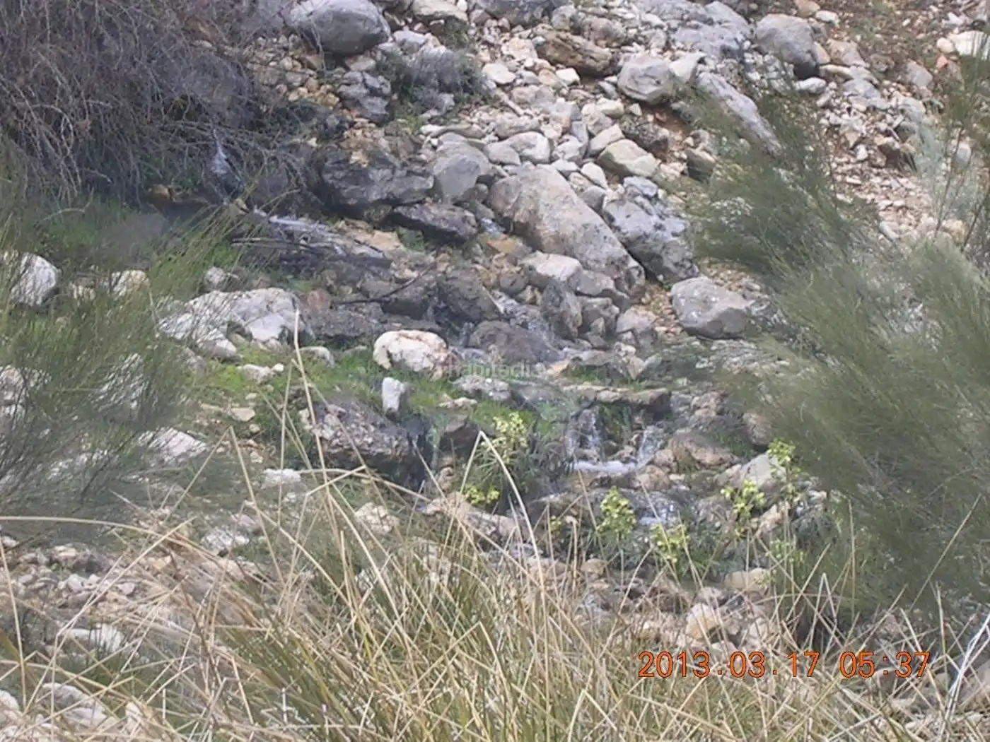 Terreni e lotti in vendita a Huéscar, imagen 10
